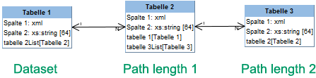 Dataset path length