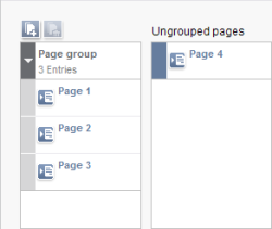 Page group