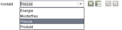 FS_DATASET Combobox-Darstellung