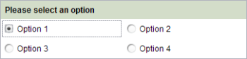 CMS_INPUT_RADIOBUTTON