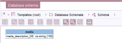 Database schema in the source project